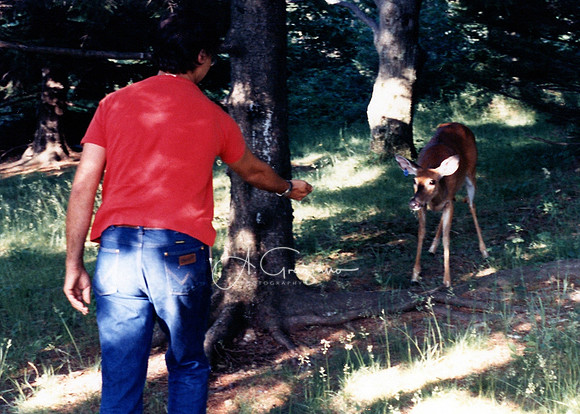 Camping - Shenandoah 1983