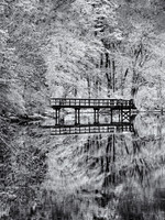 Frosted - Ridge Conservation Area