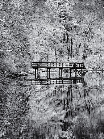Frosted - Ridge Conservation Area