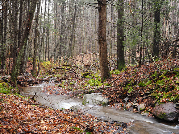 Catskills West
