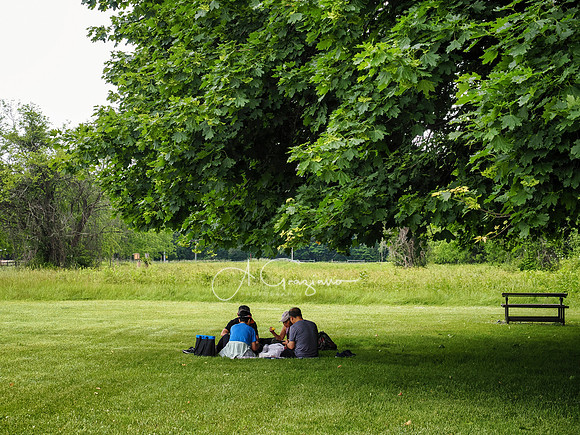 National Trail Day at Upland Farm 2025