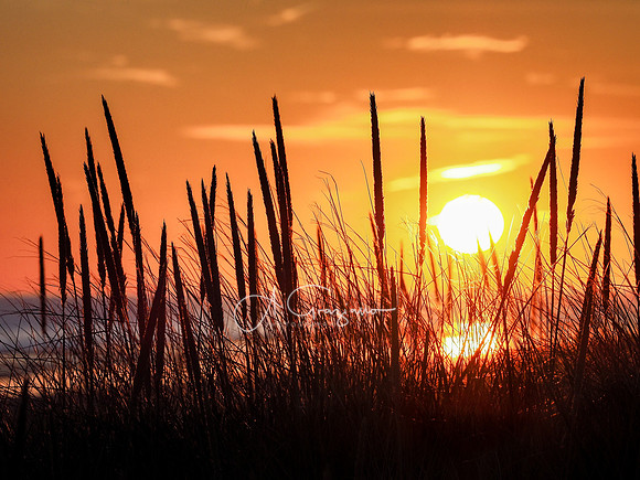 The Coming Light