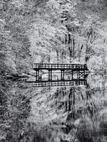 Frosted - Ridge Conservation Area