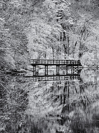 Frosted - Ridge Conservation Area