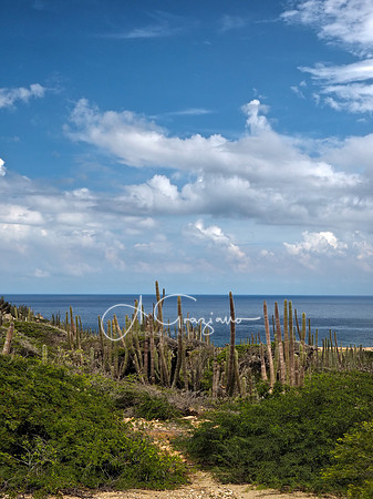 One Happy Island