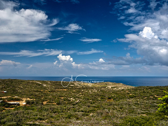 One Happy Island