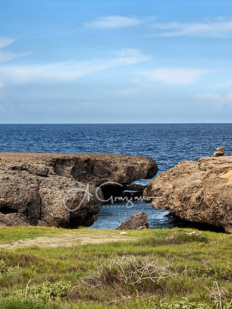 One Happy Island