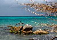 One Happy Island