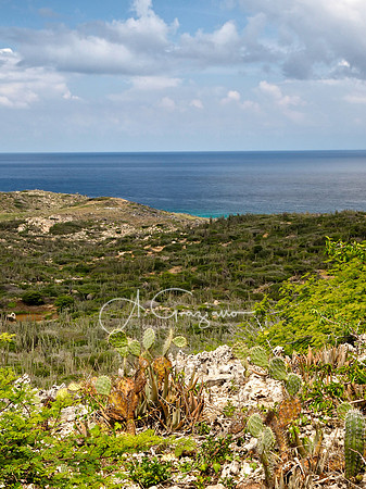One Happy Island