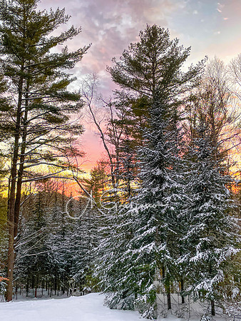 Pastel Dawn - Adirondacks