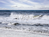 Spring Fling - Smith Point Beach