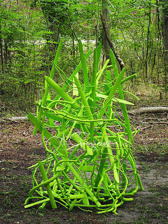 CEED Sculpture in the Garden 2023