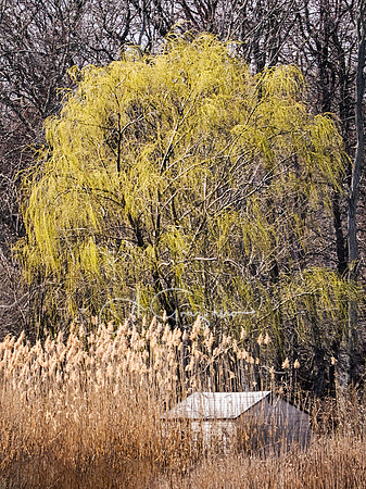 Refuge - William Floyd Estate