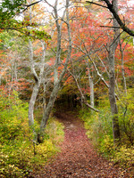 Wertheim Wildlife Refuge