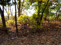 Wertheim Wildlife Refuge
