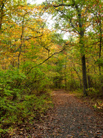 Wertheim Wildlife Refuge