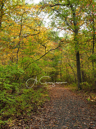 Wertheim Wildlife Refuge