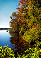 Wertheim Wildlife Refuge