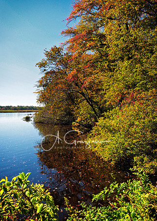 Wertheim Wildlife Refuge