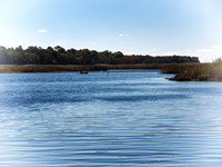 Wertheim Wildlife Refuge