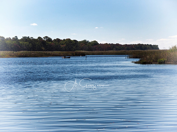 Wertheim Wildlife Refuge