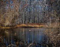 Elizabeth A. Morton Wildlife Refuge