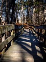 Elizabeth A. Morton Wildlife Refuge