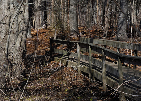 Elizabeth A. Morton Wildlife Refuge