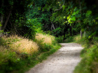Elizabeth A. Morton Wildlife Refuge