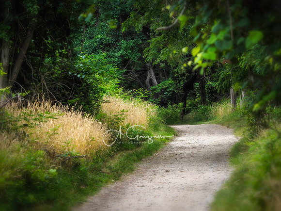 Elizabeth A. Morton Wildlife Refuge