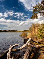 Wertheim Wildlife Refuge