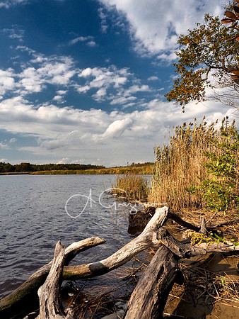 Wertheim Wildlife Refuge