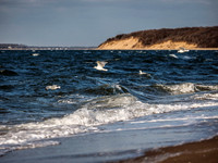 Elizabeth A. Morton Wildlife Refuge