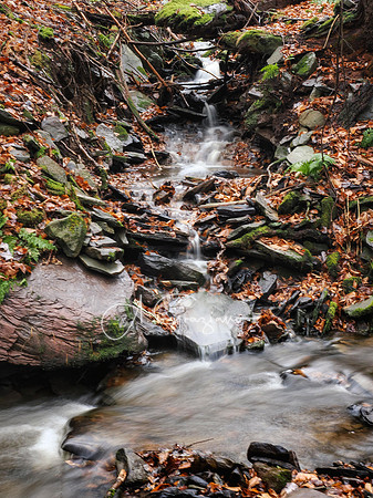 Catskills West