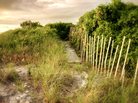 Lazy Daze - Wading River Inlet