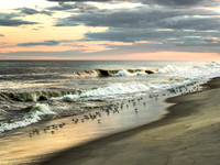 Coastal Mood - Smithpoint Beach