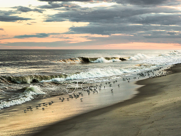 Coastal Mood - Smithpoint Beach