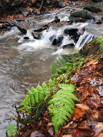 Catskills West