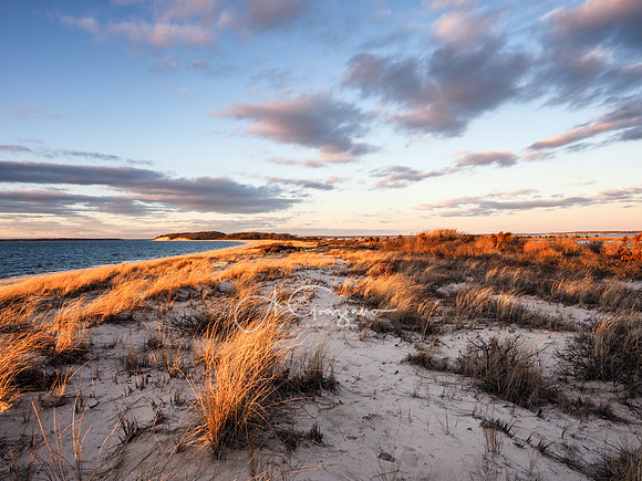 Afternoon Glow on Peconic Bay