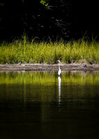 Fish & Wildlife Service - Locations