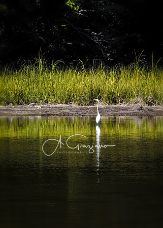 Target Rock NWR
