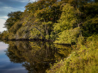 Wertheim NWR