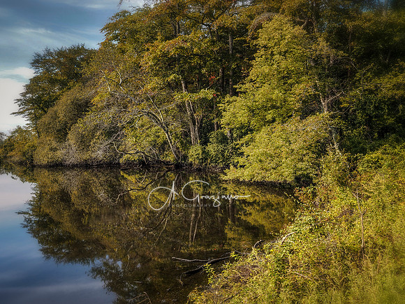 Wertheim NWR
