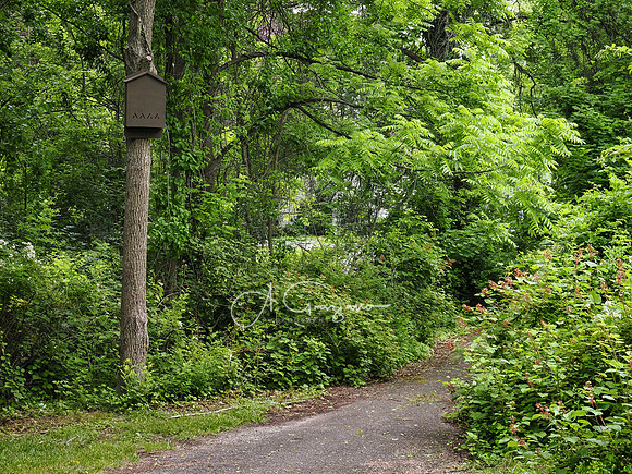 National Trail Day at Upland Farm 2025