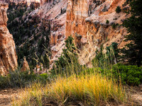 Bryce Canyon NP