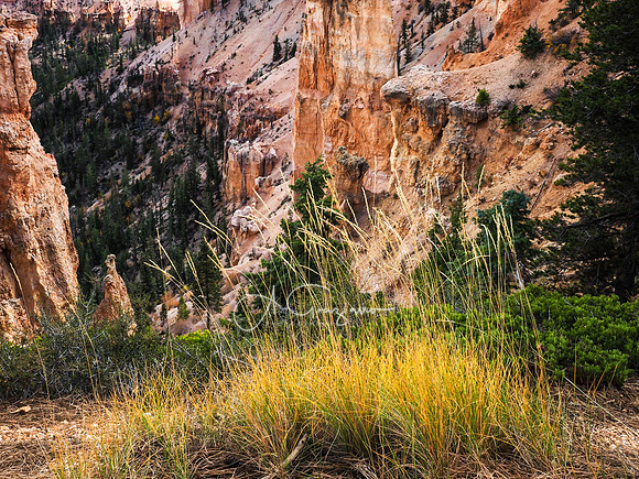 Bryce Canyon NP