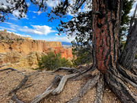 Bryce Canyon NP