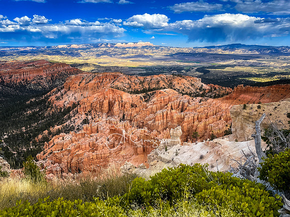 Bryce Canyon NP