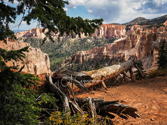Bryce Canyon NP