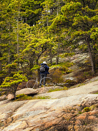 Acadia Workshop 2022